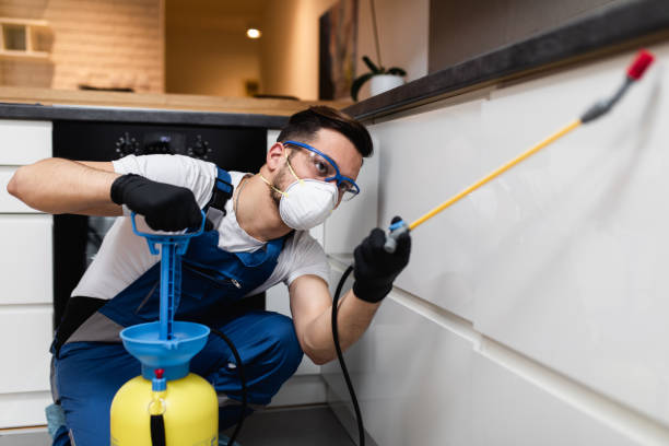 Best Wasp Removal Services  in Frederick, OK