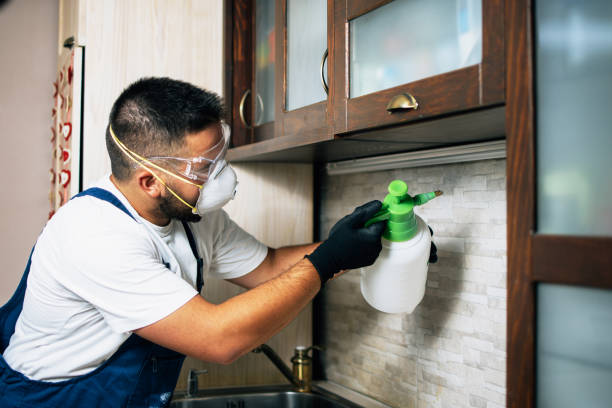 Professional Pest Control in Frederick, OK
